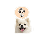 865030742