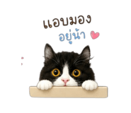 865030766