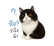 865030767