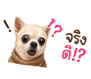 865031071