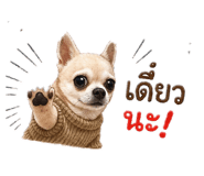 865031072