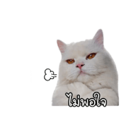 865031518