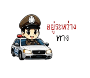 865031554