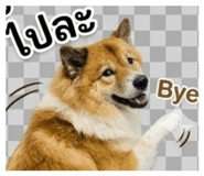 865032109