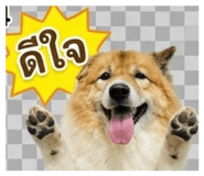 865032111