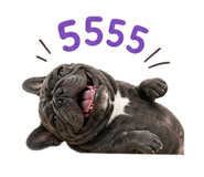 865032879
