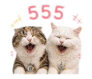 865032898