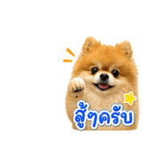 865033747