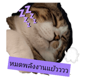 865033773