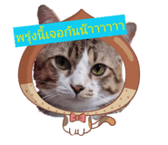 865033778