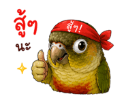 865033950