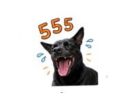 865033975