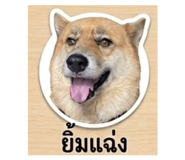 865034334