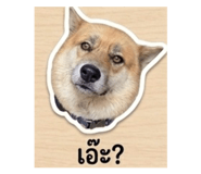 865034339