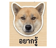 865034340