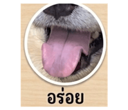 865034342