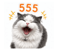865035316