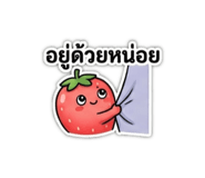 865035627