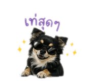 865036370