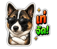 865036637