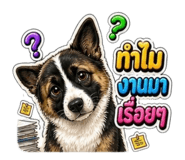 865036645