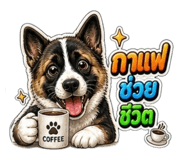 865036648
