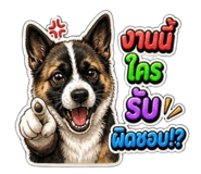 865036649