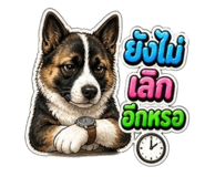 865036653