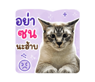 865036785
