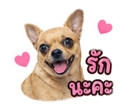 865038145