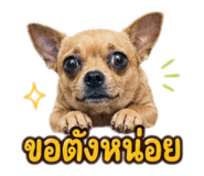 865038149