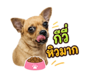 865038154