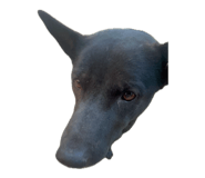 865039298