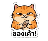 865039364