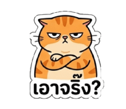 865039367