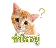 865039734