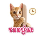 865039738