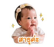 865040013