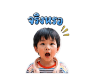 865040444