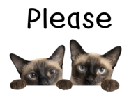 865040831