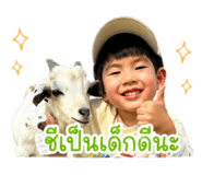 865040913