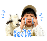 865040914