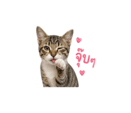865041670