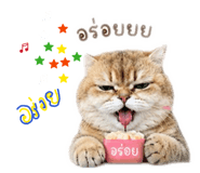865042547