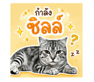 865043378