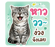 865043380