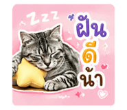 865043382