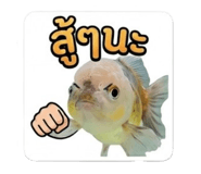 865043760