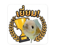 865043767