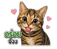 865044158